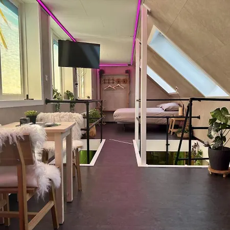 Apartamento Gelukkig Aan Zee Wellnesshuisje *